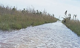 Photo detail