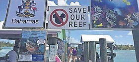Photo detail