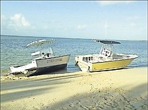 photo thumbnail