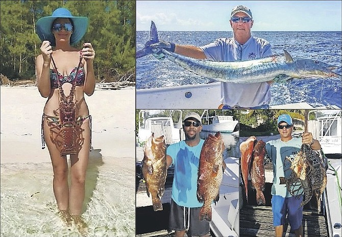 CLOCKWISE FROM LEFT: Stacey Albury with a big ‘bug’ speared by her husband, Nathan, near Green Turtle Cay, Abaco; Steve Johnson with an early September Wahoo; Captain Rudy with nice Grouper duo speared near Nassau; BSFN expert Chang Chin with a sweet catch near Nassau.