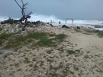 photo thumbnail