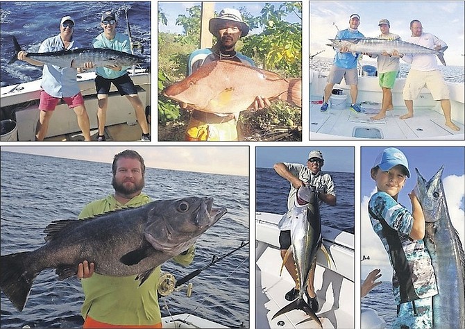 CLOCKWISE FROM TOP LEFT: A happy guest on Gusto Charters; Alex McKinney on the Hogfish in Crooked Island; Nassau boys Kyle, Chris and Nick took advantage of the good weather and hooked this awesome “slob”; Lukey Rowland with a pre-Christmas Wahoo on a Marauder near South Ocean, New Providence; local boy Tweedie, landed a sweet Yellowfin Tuna; Captain Travis, of Gusto Charters in Abaco, took a break from the Wahoo run and landed a nice Grouper on the deep drop.