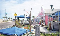 photo thumbnail