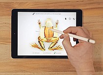 photo thumbnail