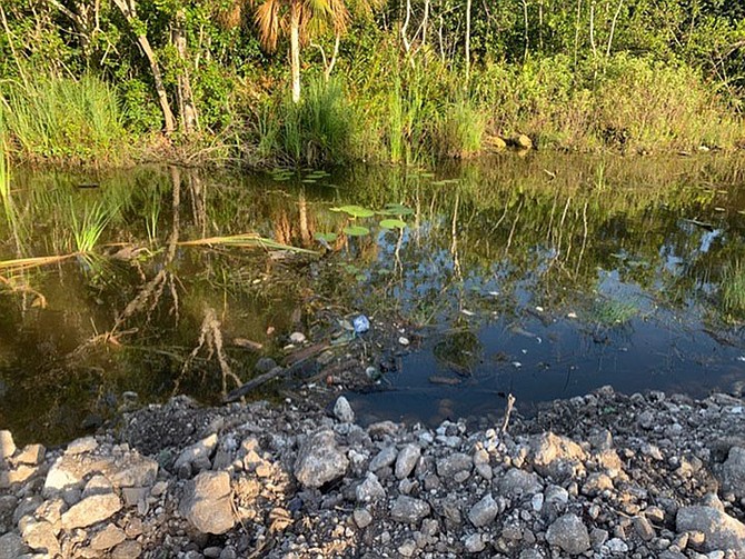 RESIDENTS have complained about the state of ponds in the Westridge area.