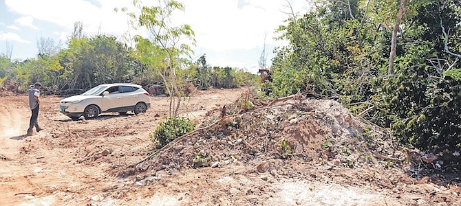 TREES being removed along New Providence Highway yesterday. Photos: Donavan McIntosh/Tribune Staff