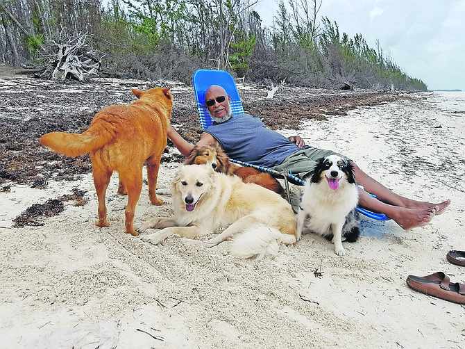 ACTIVIST Joseph Darville and some of his dogs.