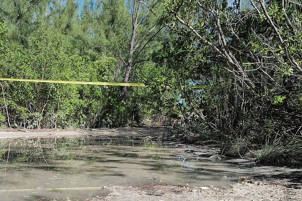 The scene on a track road near the South Beach Pools where the body of a man was found dead on August 10, 2024. Photo: Dante Carrer/Tribune Staff