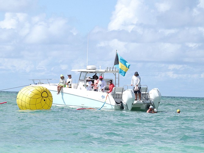 Swimmers competing in the Bernie Butler Open Water Swim two years ago.