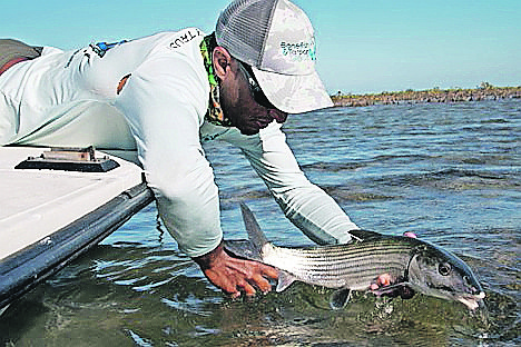 BTT scientist Justin Lewis releases a tagged bonefish. Data from tagging provides information such as when and where the fish migrate and the range of their habitat. Tagging does not harm the fish. 
Photo: BTT