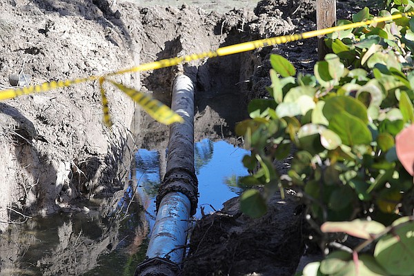 A broken sewage pipe at the western edge of Montague Park yesterday, yards away from the play area which has been closed off. Photos: Dante Carrer/Tribune Staff