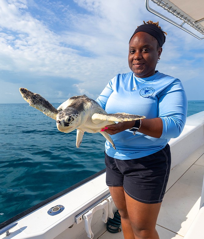 “Lucky” the turtle was released in waters off New Providence on April 8, 2026. Photo: Mikali Paul/Bahamas Visual Services
