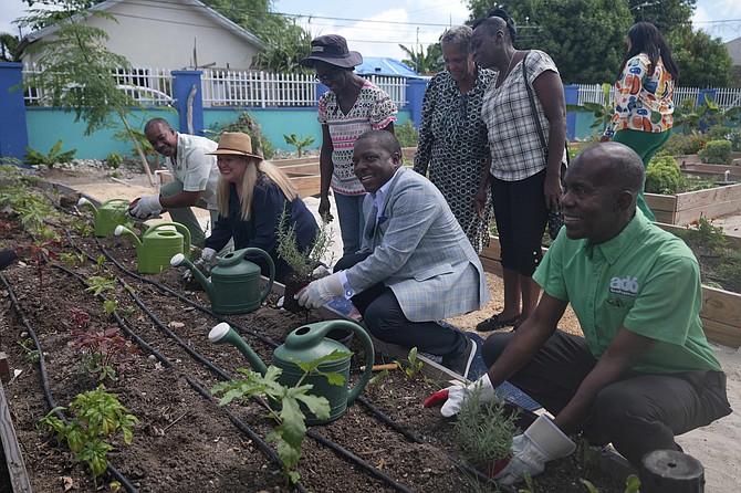 MINISTER of Agriculture and Marine Resources and MP for Centreville Jomo Campbell opened a community farm on Fritz Lane on May 21, 2026. Photo: Nikia Charlton