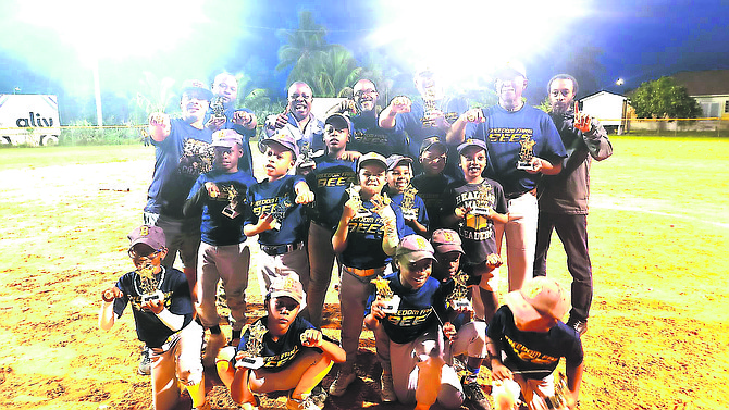 The Mighty Bees, managed by Dereck Munroe, capped off a perfect 20-0 win-loss record by sweeping the Hornets in three straight games in the best-of-five championship series at the park in Yamacraw.