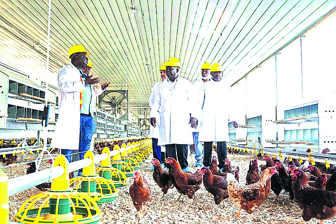Prime Minister Philip ‘Brave’ Davis visits the Golden Yolk project along with government officials to observe the progress made. Photo: OPM